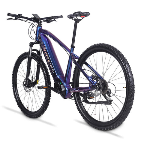 Buy Shengmilo SML100