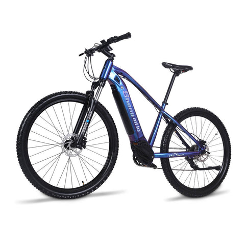 26 inch electric bike