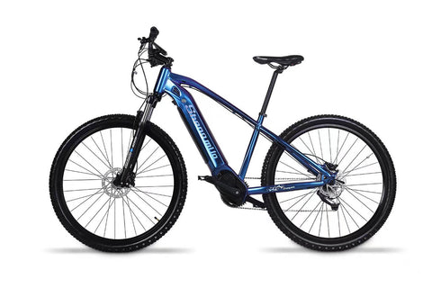 Electric Auxiliary Bicycle